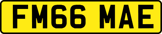 FM66MAE