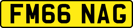 FM66NAG