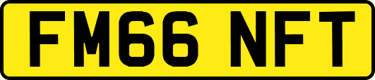 FM66NFT