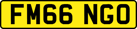 FM66NGO