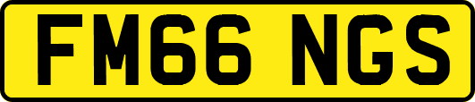 FM66NGS