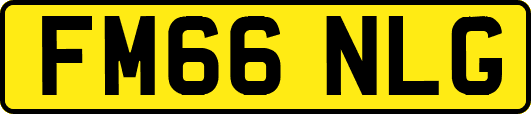 FM66NLG