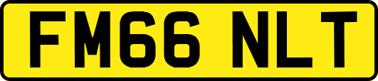 FM66NLT