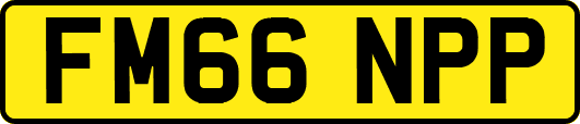 FM66NPP