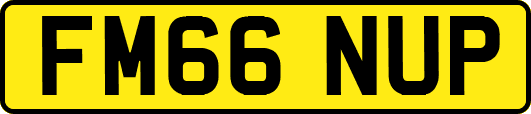 FM66NUP