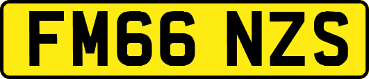 FM66NZS