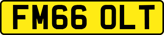 FM66OLT