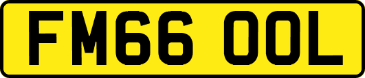 FM66OOL