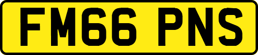 FM66PNS