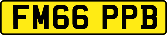 FM66PPB