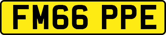 FM66PPE
