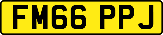 FM66PPJ
