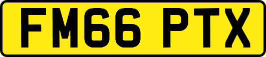 FM66PTX