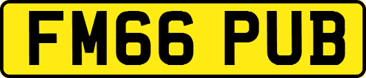 FM66PUB