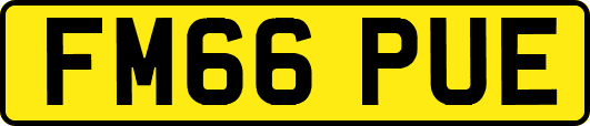 FM66PUE