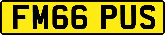FM66PUS