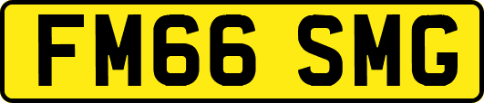 FM66SMG