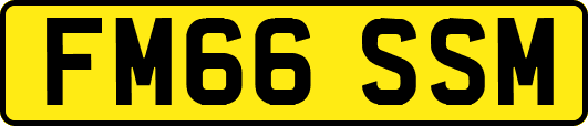 FM66SSM