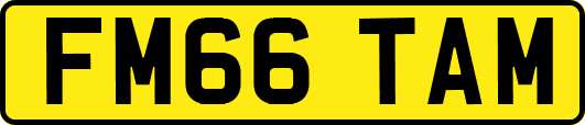 FM66TAM