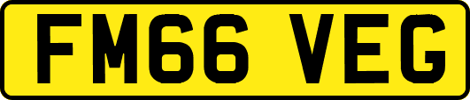 FM66VEG