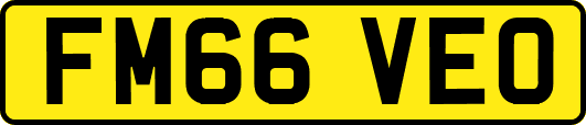 FM66VEO