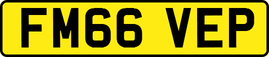 FM66VEP