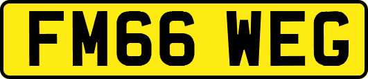 FM66WEG