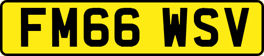 FM66WSV