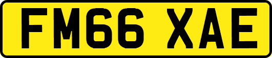 FM66XAE