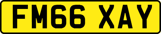 FM66XAY