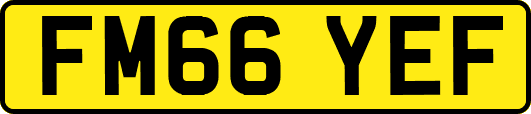 FM66YEF