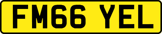 FM66YEL