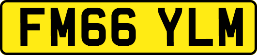 FM66YLM
