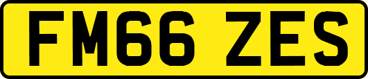 FM66ZES
