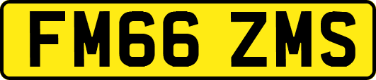 FM66ZMS