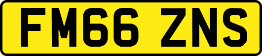 FM66ZNS