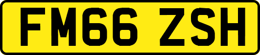 FM66ZSH