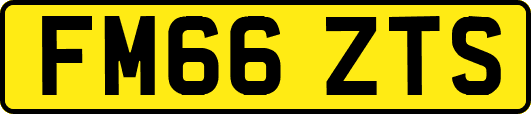 FM66ZTS