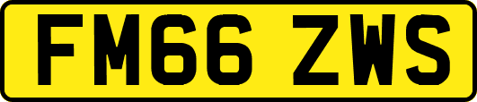 FM66ZWS
