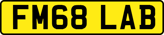 FM68LAB