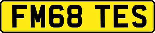 FM68TES
