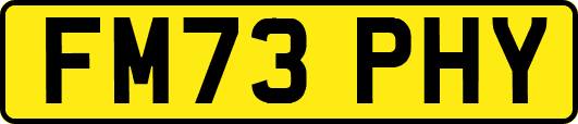FM73PHY