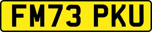 FM73PKU