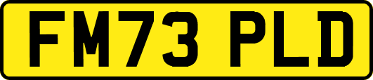 FM73PLD