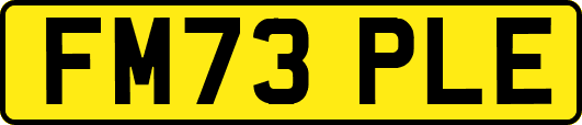 FM73PLE