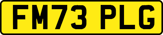 FM73PLG