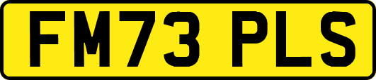FM73PLS