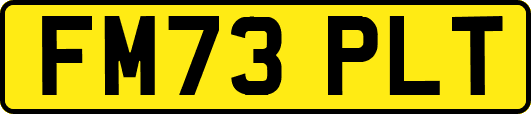 FM73PLT