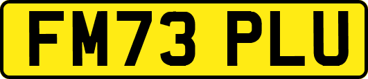 FM73PLU