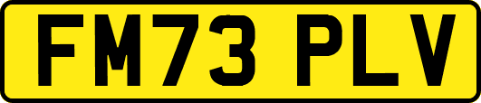 FM73PLV